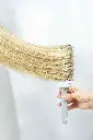 DSC08943.webp